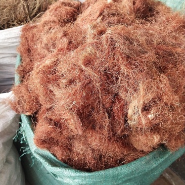 玉米须新货挑杂质产地直销量大优惠