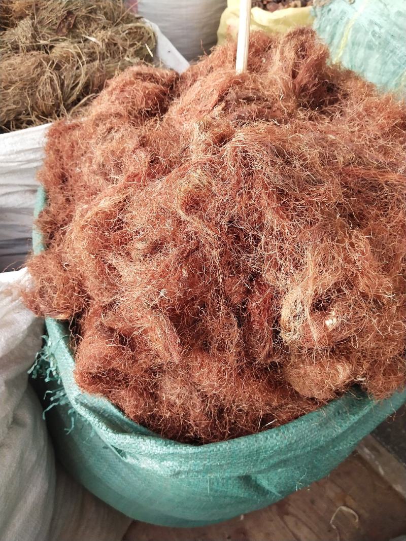 玉米须新货挑杂质产地直销量大优惠