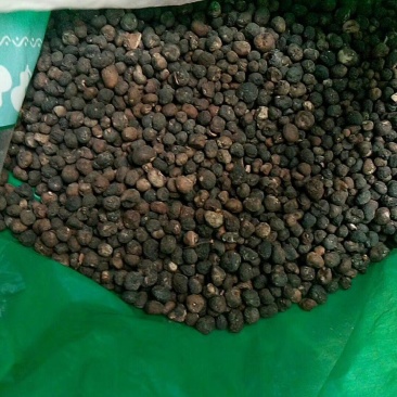 地下明珠陈伤子一粒金丹干货各种中药材