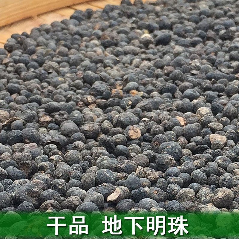 地下明珠陈伤子一粒金丹干货各种中药材