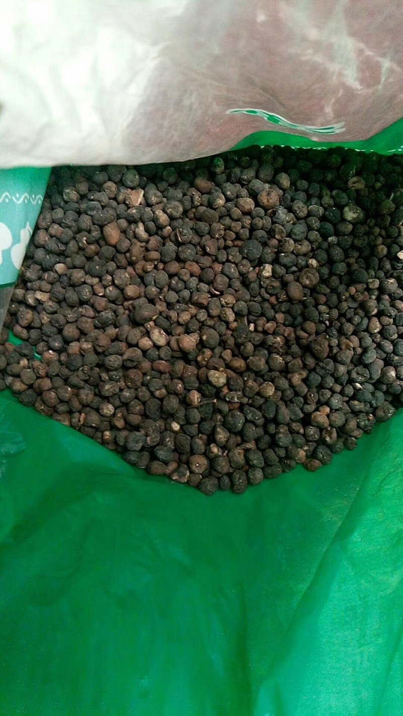 地下明珠陈伤子一粒金丹干货各种中药材