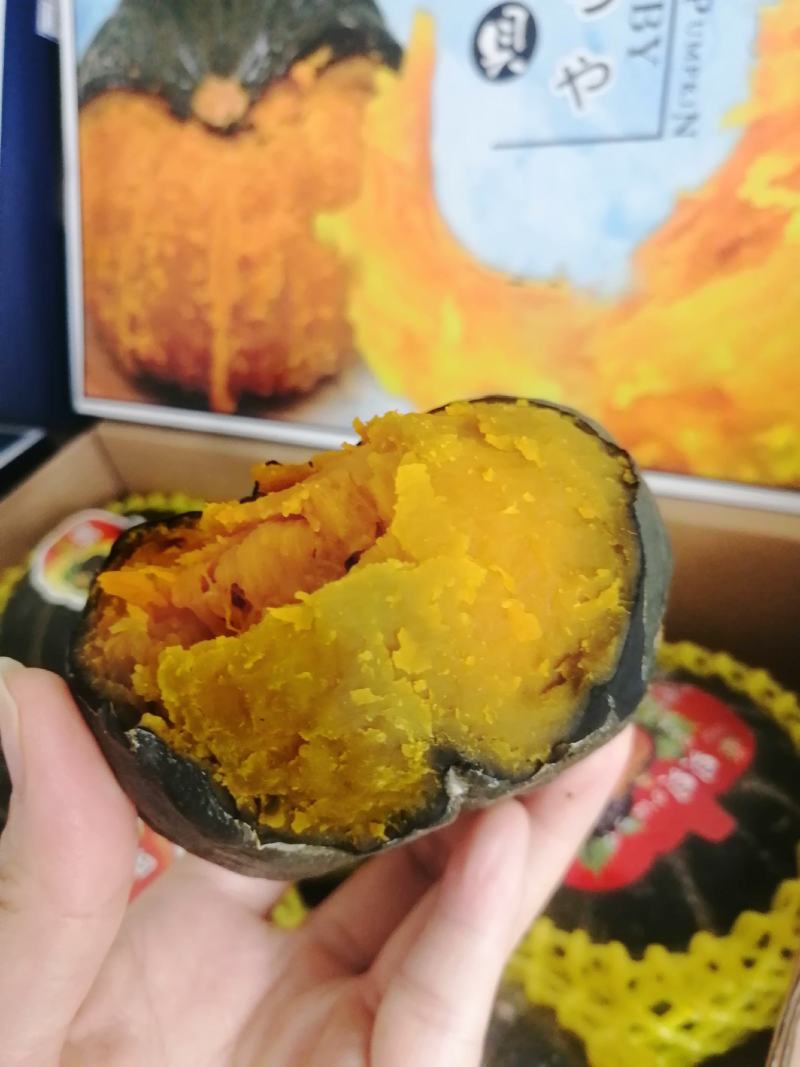 山东贝贝南瓜进口惠和贝贝南瓜迷你小南瓜支持一件代发