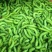 出售