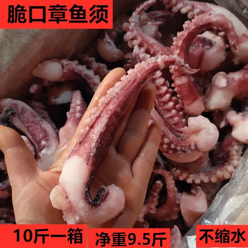 脆口章鱼须10斤新鲜冷冻商用铁板八爪足章鱼足非大鱿鱼须海