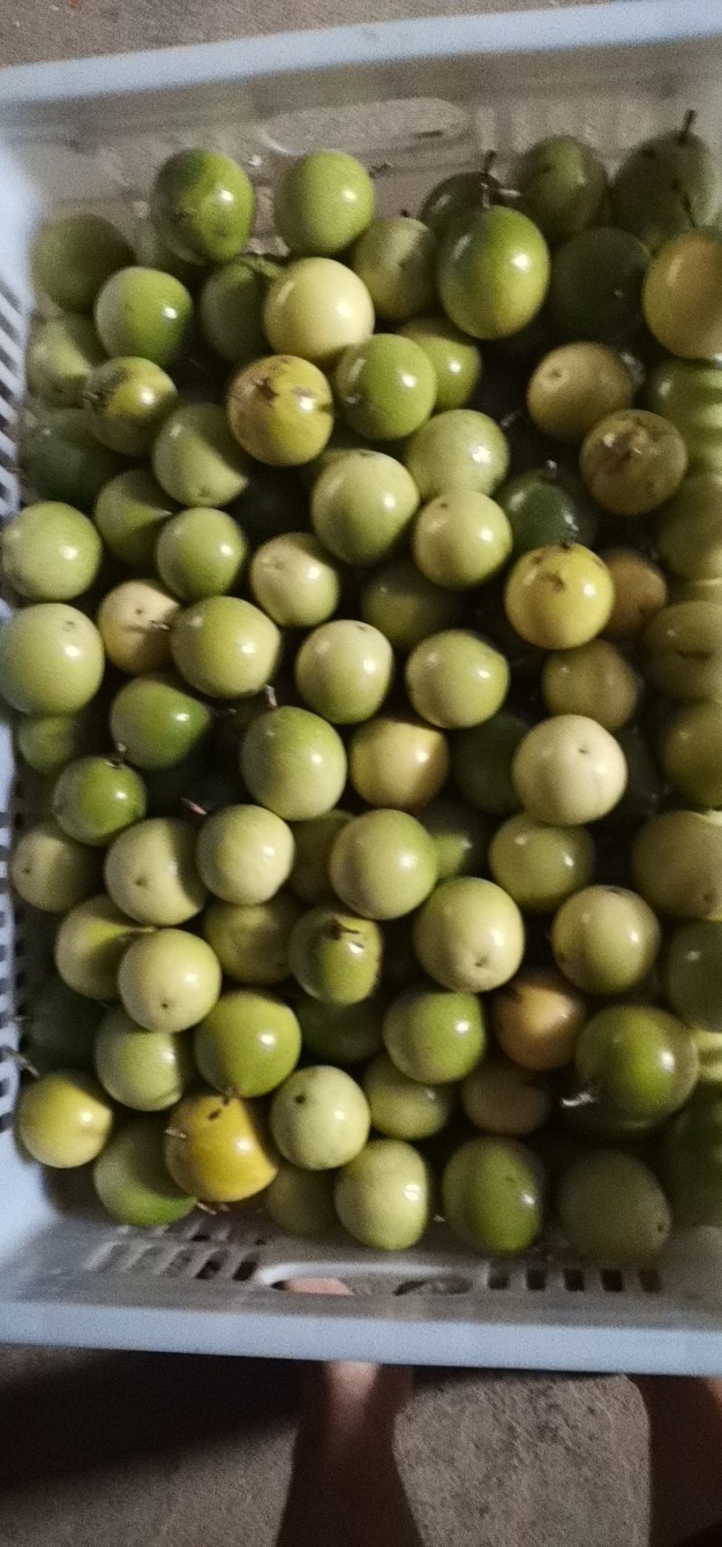 黄金百香果芭乐味现摘现发
