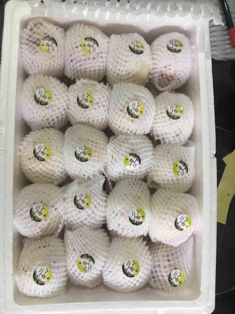 云南高原产高品质又水又甜人参果生果熟果、电商果