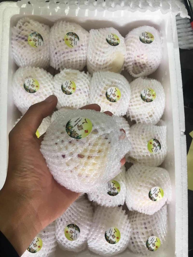 云南高原产高品质又水又甜人参果生果熟果、电商果