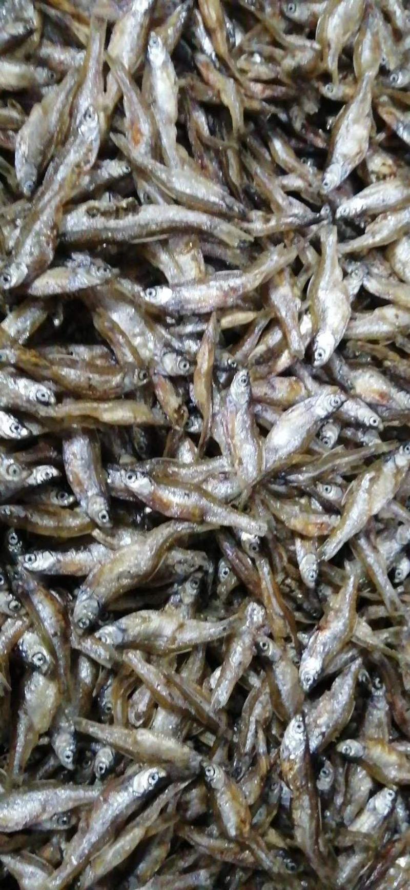 油炸鱼干、油炸白肖鱼、自然鱼干、水库鱼干、河水鱼干