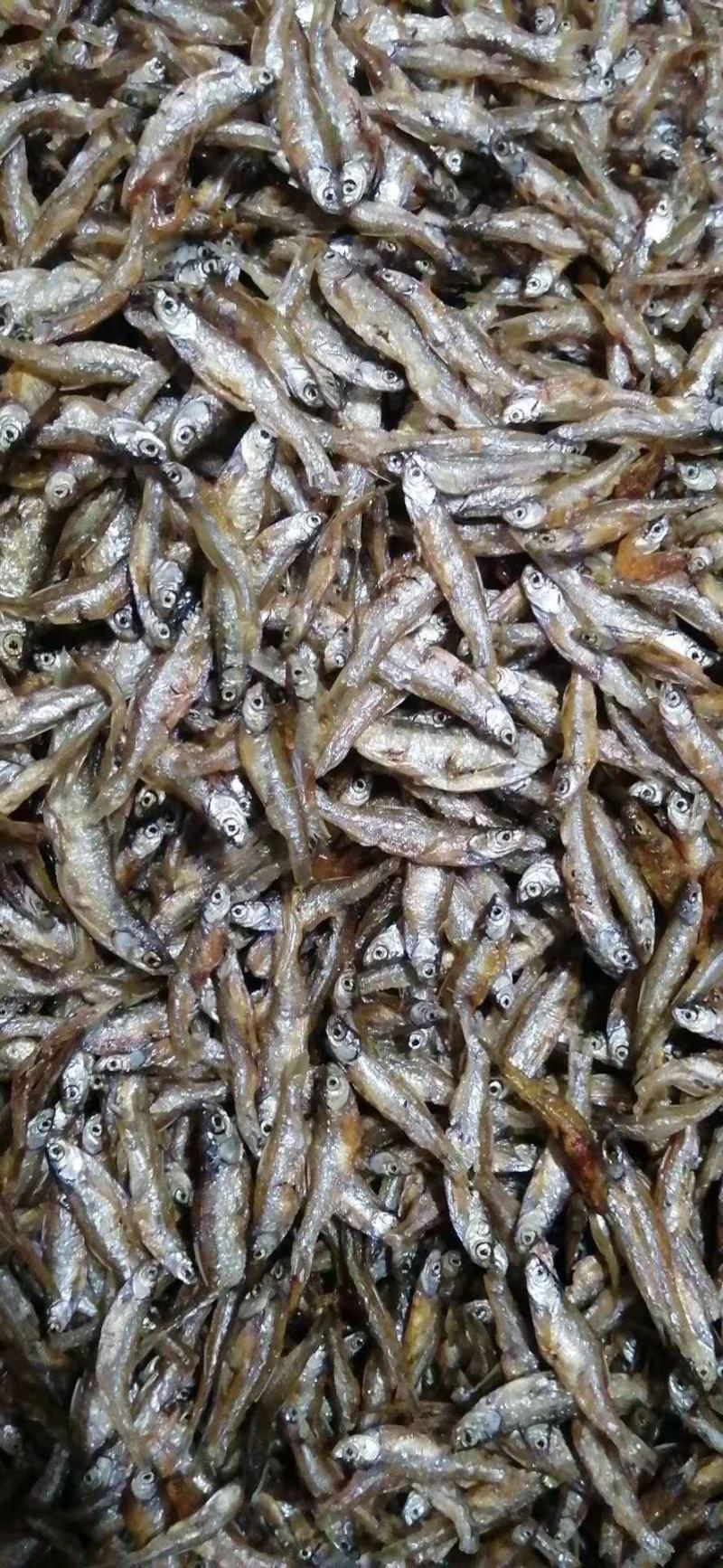 油炸鱼干、油炸白肖鱼、自然鱼干、水库鱼干、河水鱼干