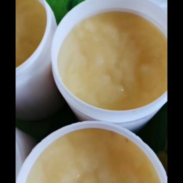 长白山保护区椴树蜜，椴树蜂王浆