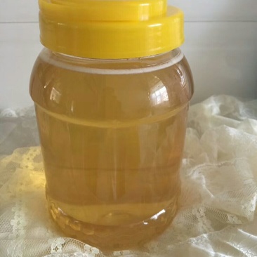 长白山椴树蜜