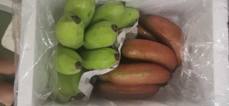 爆卖红香蕉苹果蕉落地配社区团购一件代发