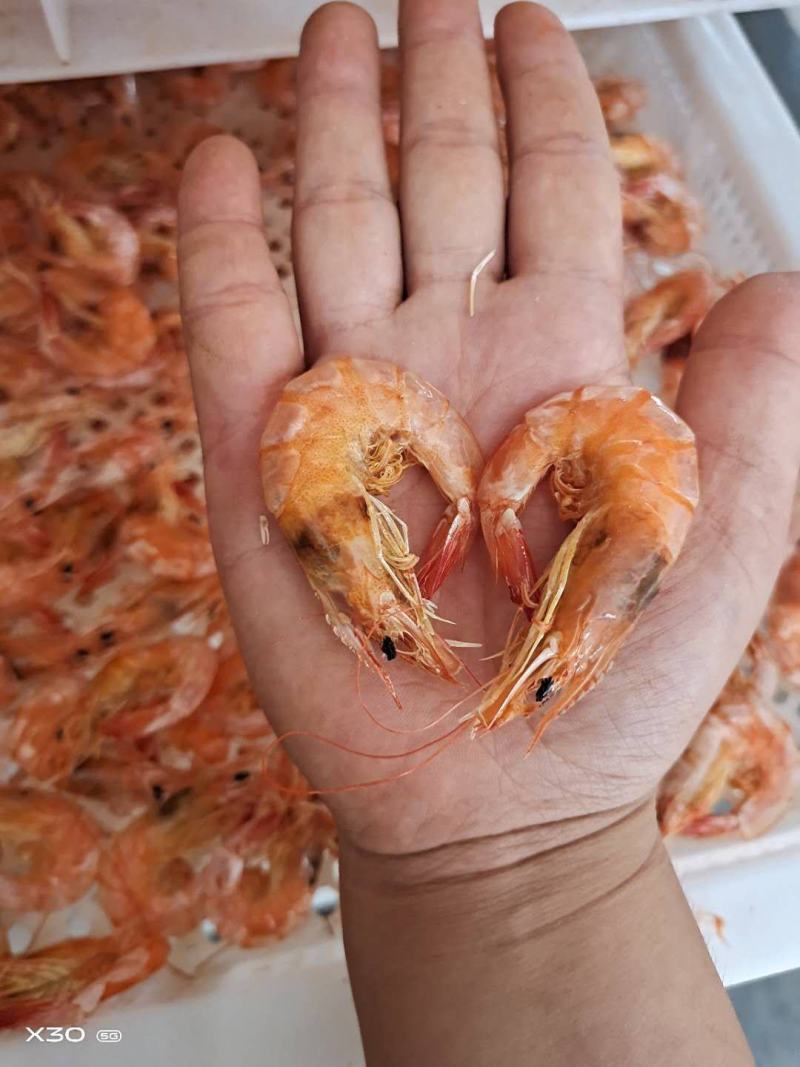 淡干烤虾！补钙佳品！老少皆宜！大量有货