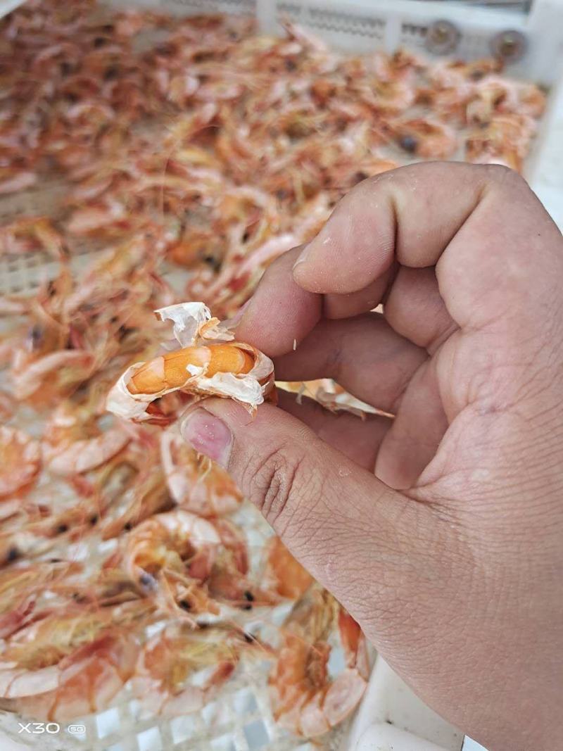 淡干烤虾！补钙佳品！老少皆宜！大量有货