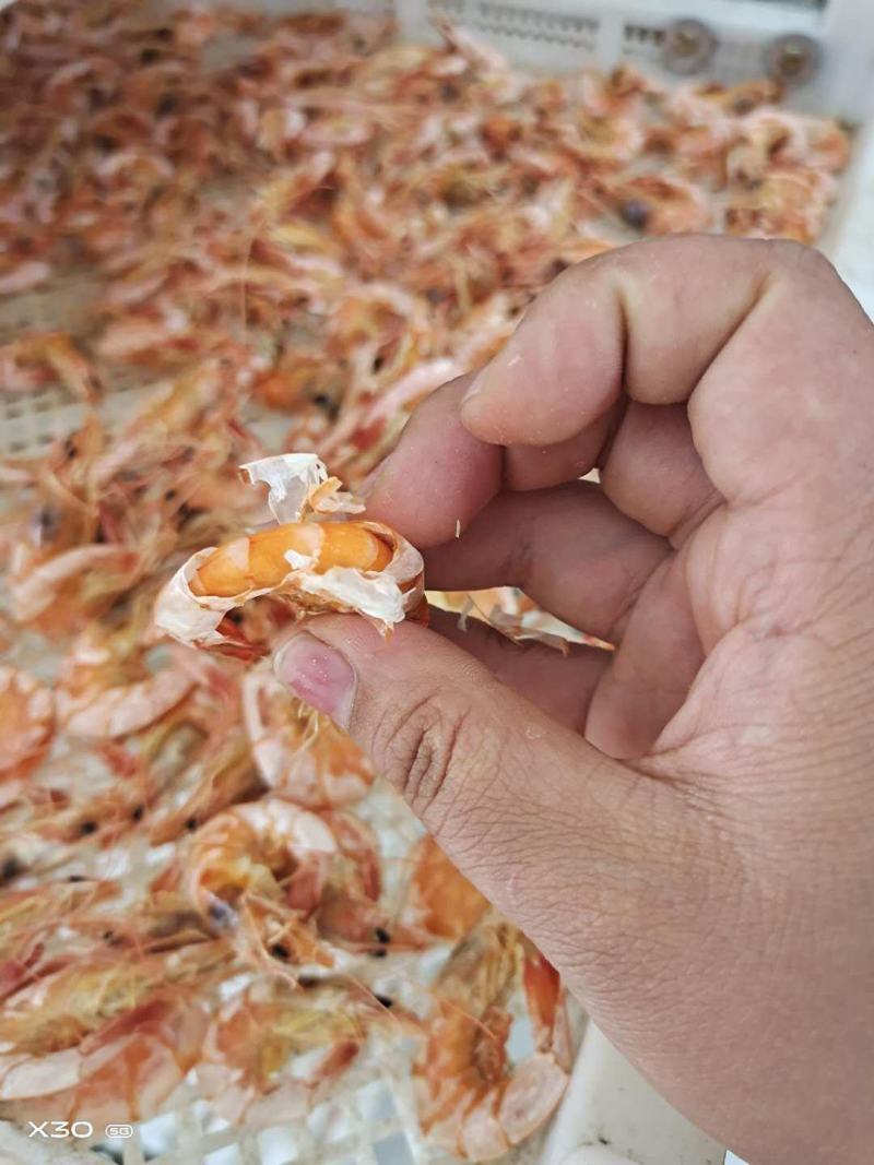淡干烤虾！补钙佳品！老少皆宜！大量有货