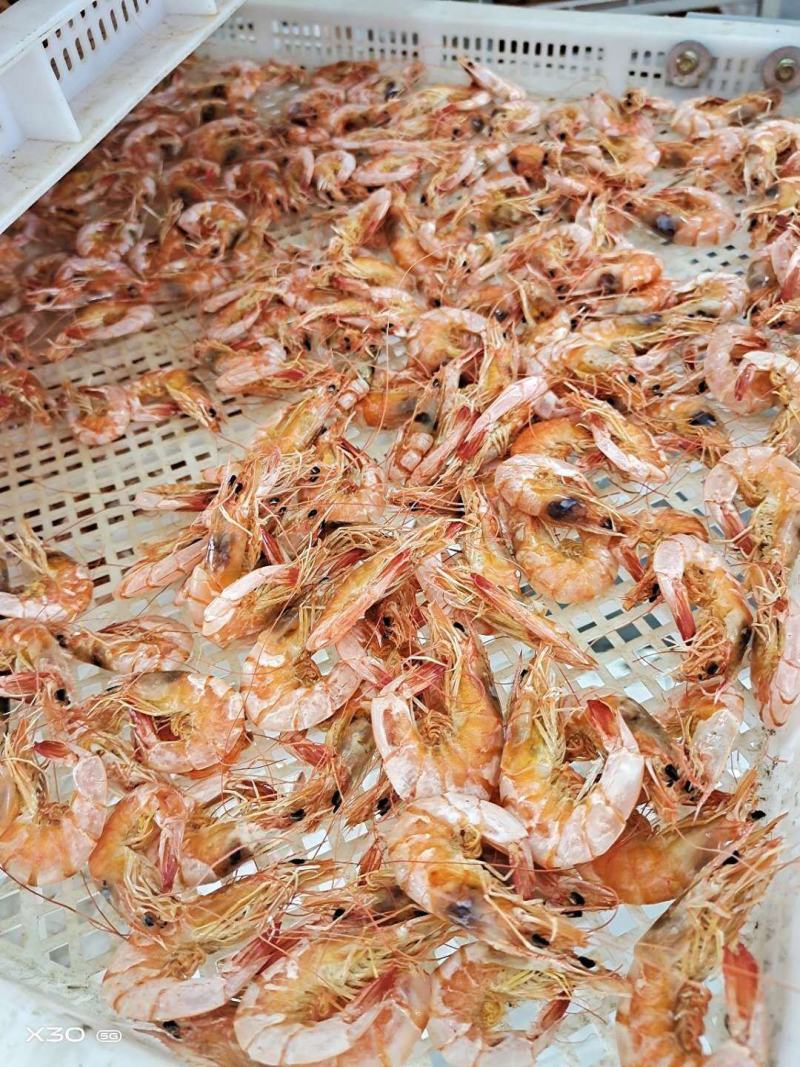 淡干烤虾！补钙佳品！老少皆宜！大量有货