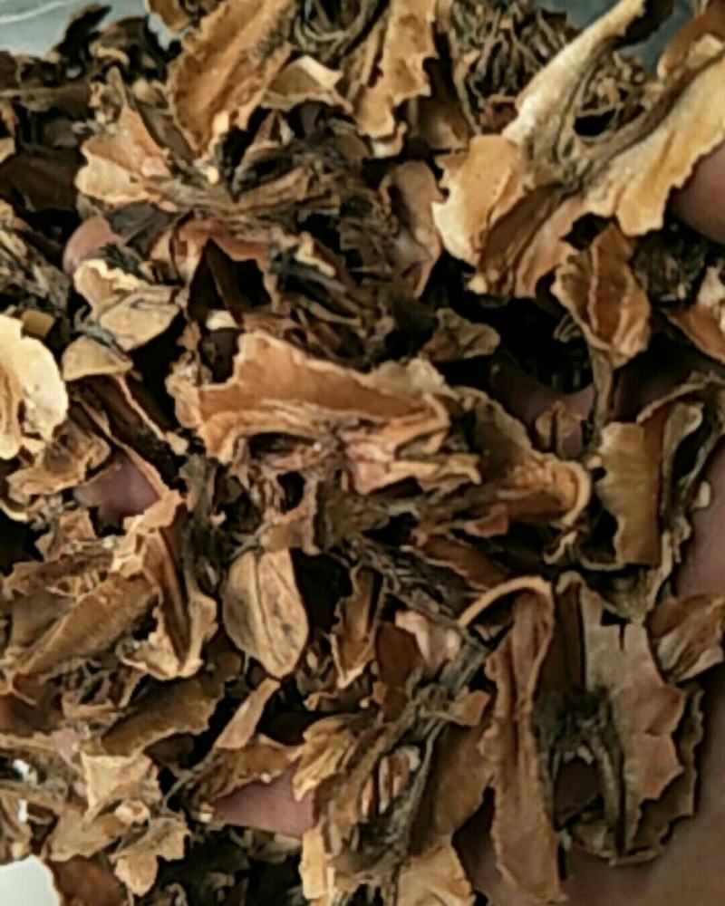 分心木，常年批发供应中药材分心木，量大从优