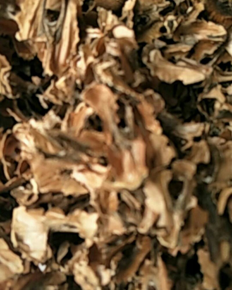 分心木，常年批发供应中药材分心木，量大从优