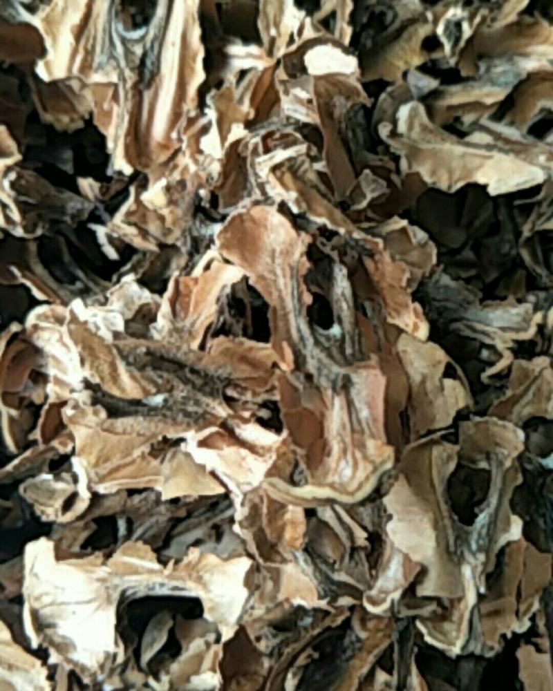 分心木，常年批发供应中药材分心木，量大从优