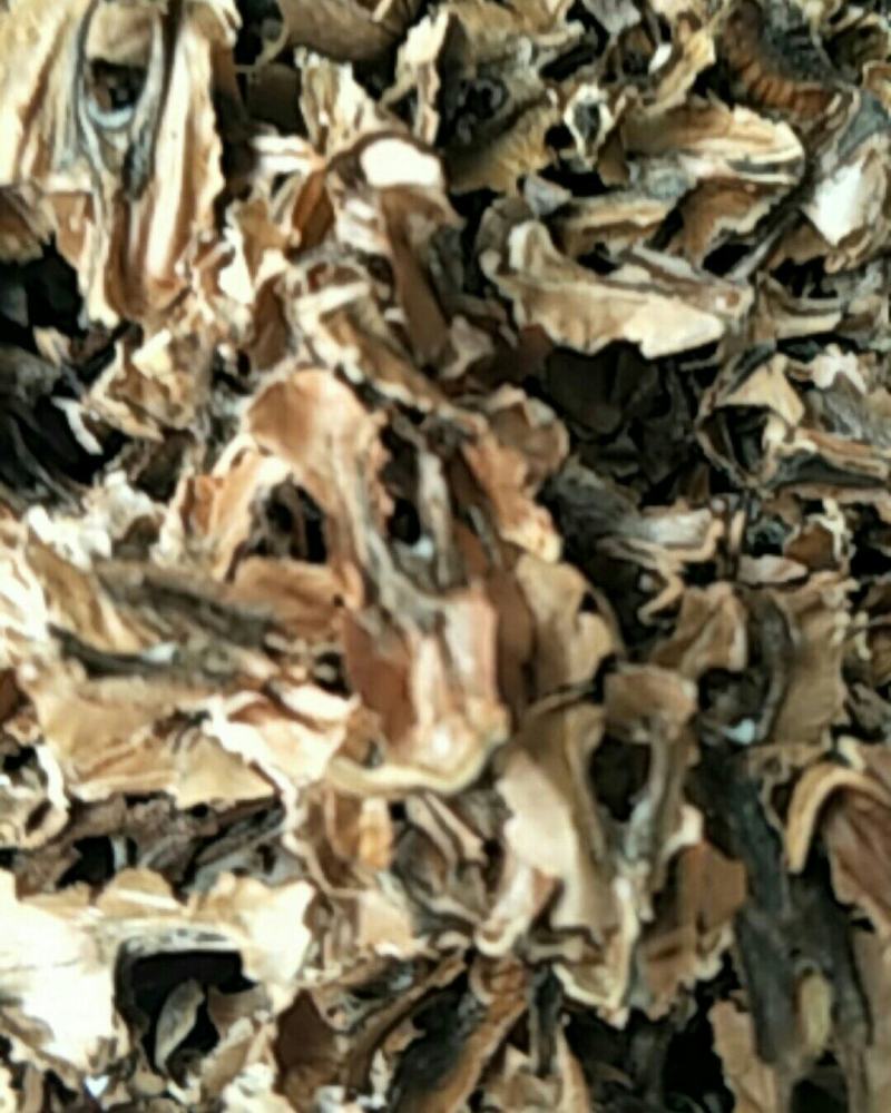 分心木，常年批发供应中药材分心木，量大从优