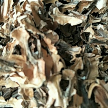 分心木，常年批发供应中药材分心木，量大从优