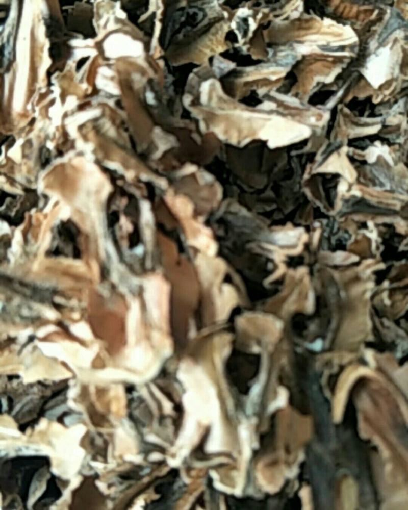 分心木，常年批发供应中药材分心木，量大从优