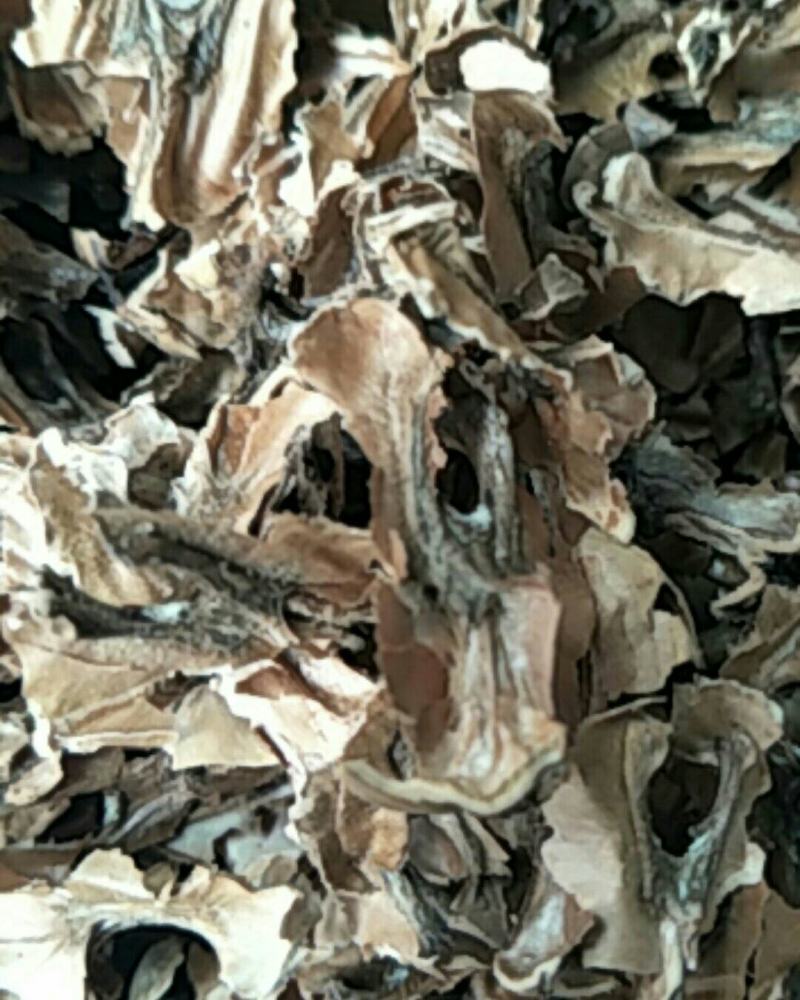 分心木，常年批发供应中药材分心木，量大从优