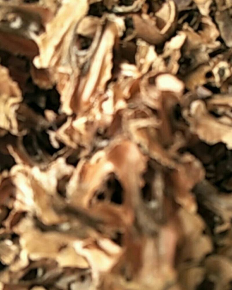 分心木，常年批发供应中药材分心木，量大从优
