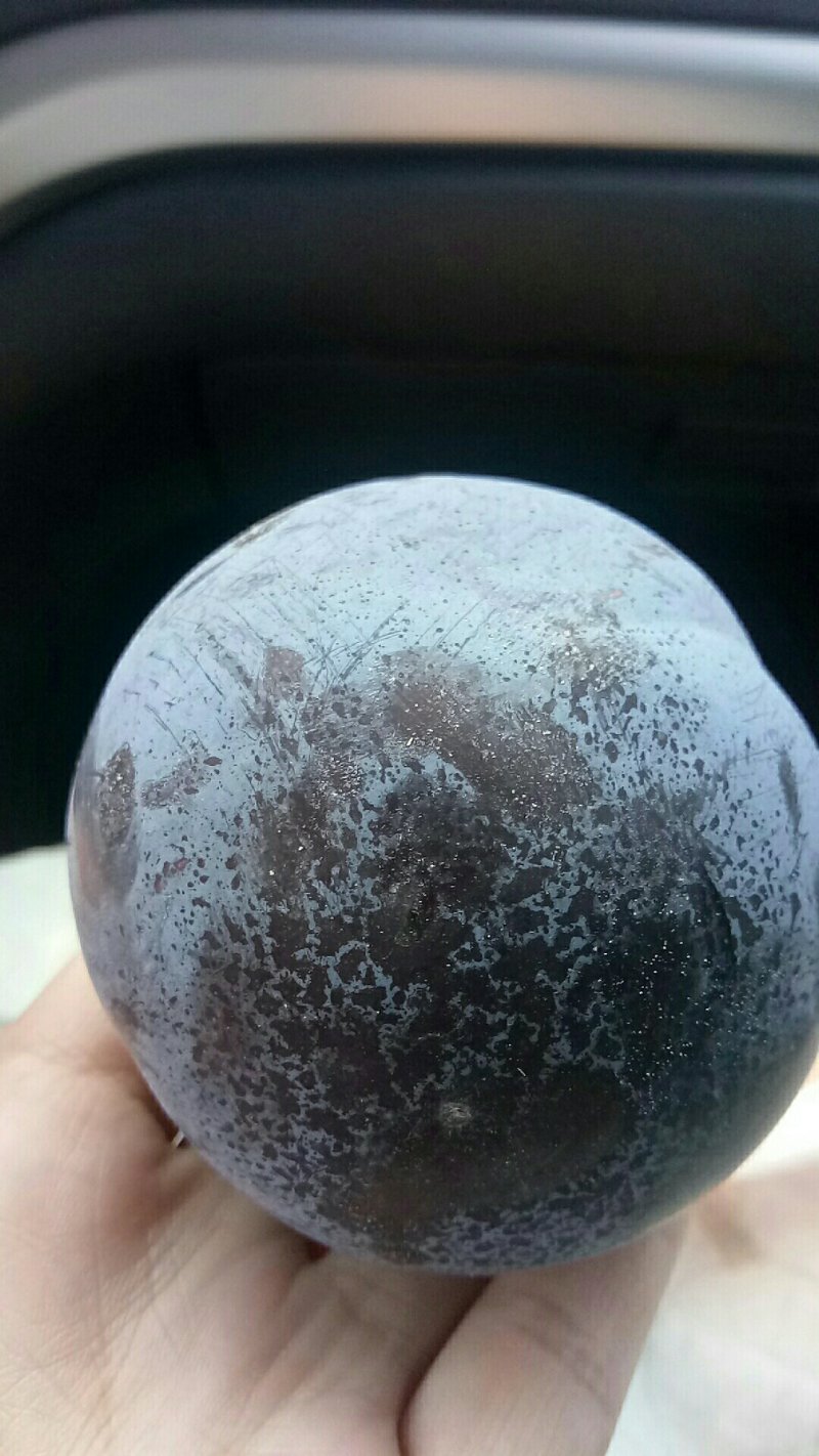 黑巨李