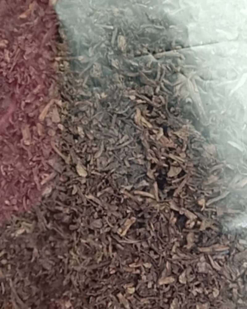 马齿笕，常年批发供应药食同源马齿笕中药材量大从优
