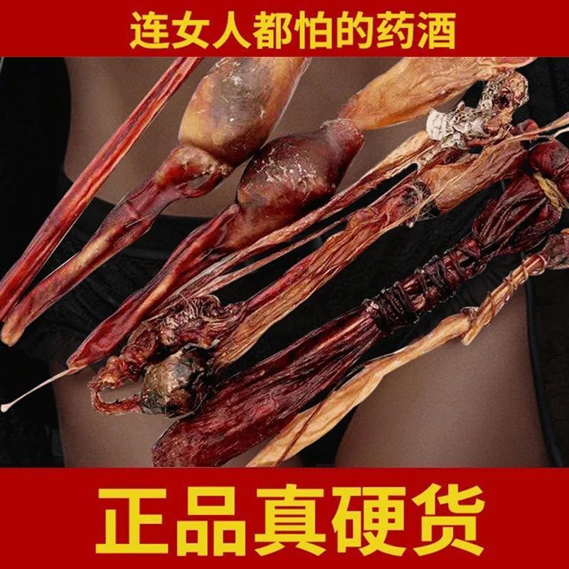 男性滋补养生泡酒料高配版83味虫草十鞭泡酒药材粗长硬
