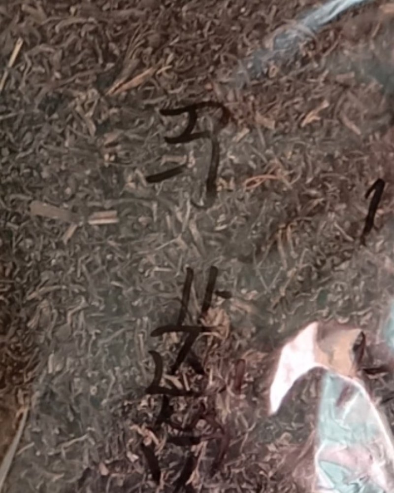 马齿笕，常年批发供应药食同源马齿笕中药材量大从优
