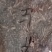 马齿笕，常年批发供应药食同源马齿笕中药材量大从优