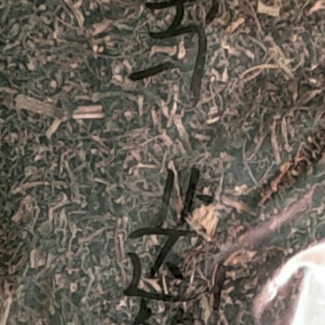 马齿笕，常年批发供应中草药马齿笕中药材