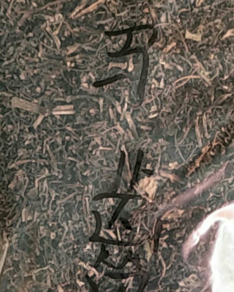 马齿笕，常年批发供应中草药马齿笕中药材