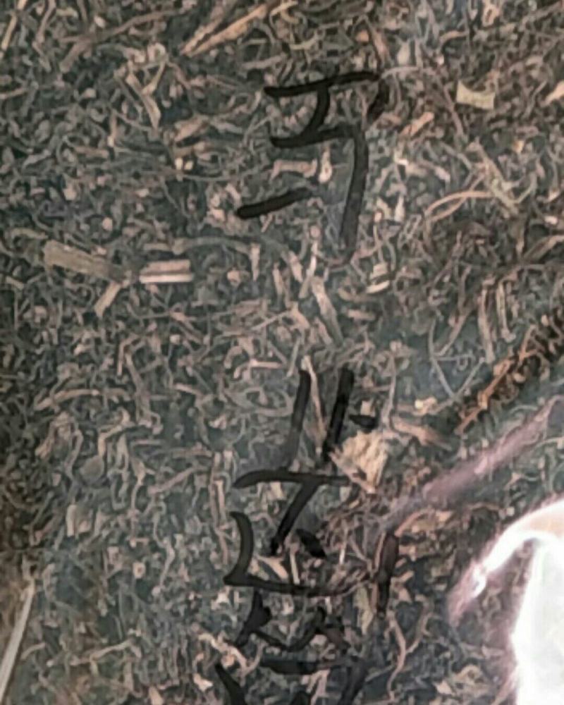 马齿笕，常年批发供应中草药马齿笕中药材