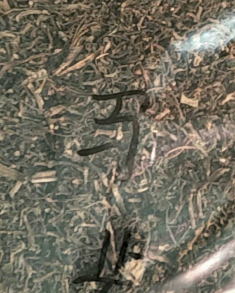 马齿笕，常年批发供应中草药马齿笕中药材