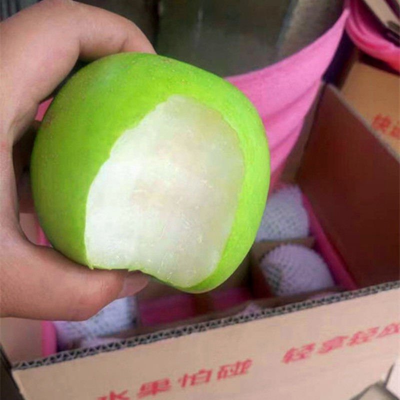 梨，新鲜水果，现摘现发！