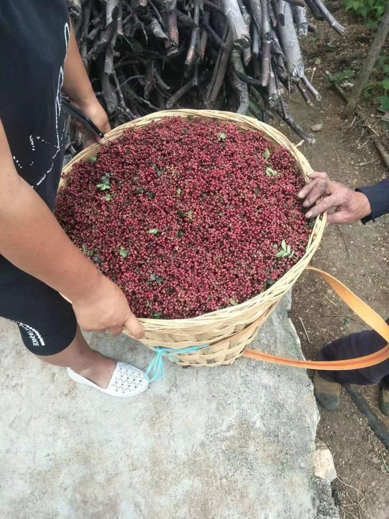 需要的老板请联系