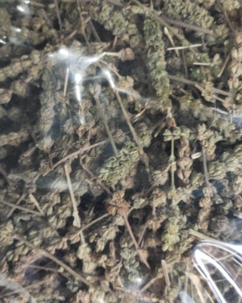 【文斌药业】荆芥穗青穗无杂质地道药材