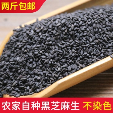 生黑芝麻驻马店原产地直供农家自产熟黑芝麻颗粒饱满
