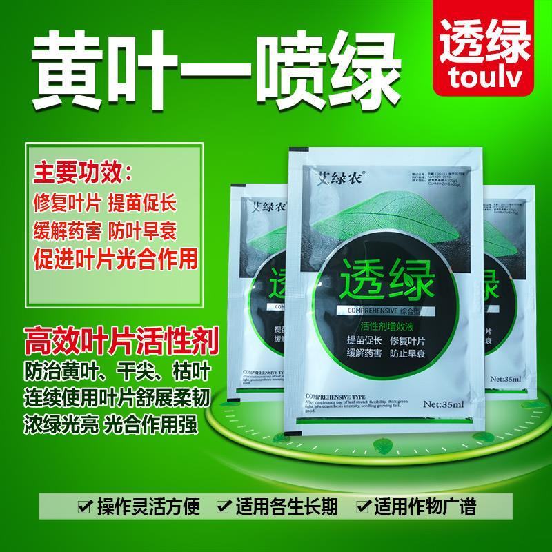 透绿黄叶干尖一喷绿防病毒缓解黄叶干边缓解药害修复叶片防衰