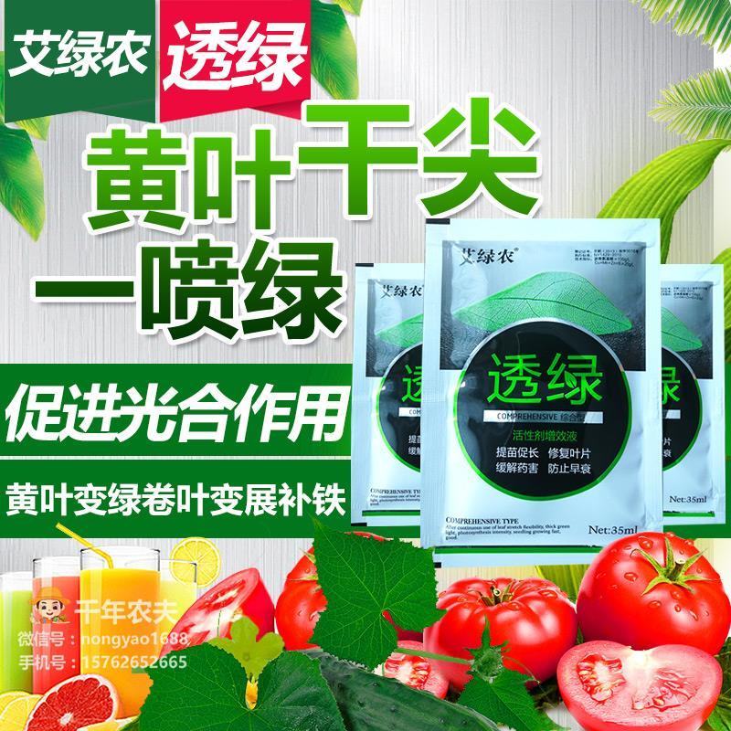 透绿黄叶干尖一喷绿防病毒缓解黄叶干边缓解药害修复叶片防衰