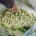 芹菜精品西芹河北发货新鲜蔬菜批发欢迎选购