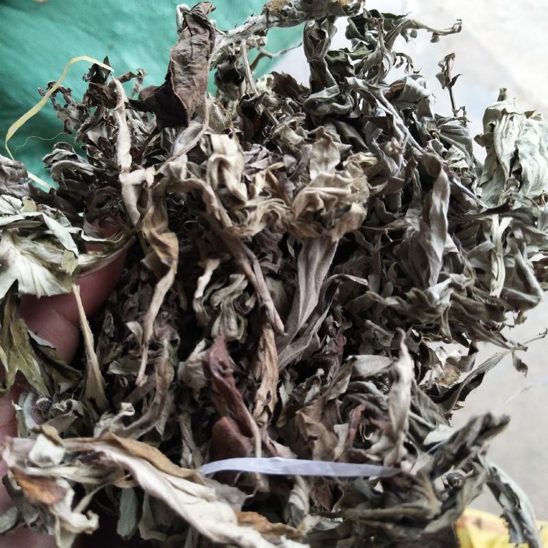 纯野生机压件白蒿，各种规格...........