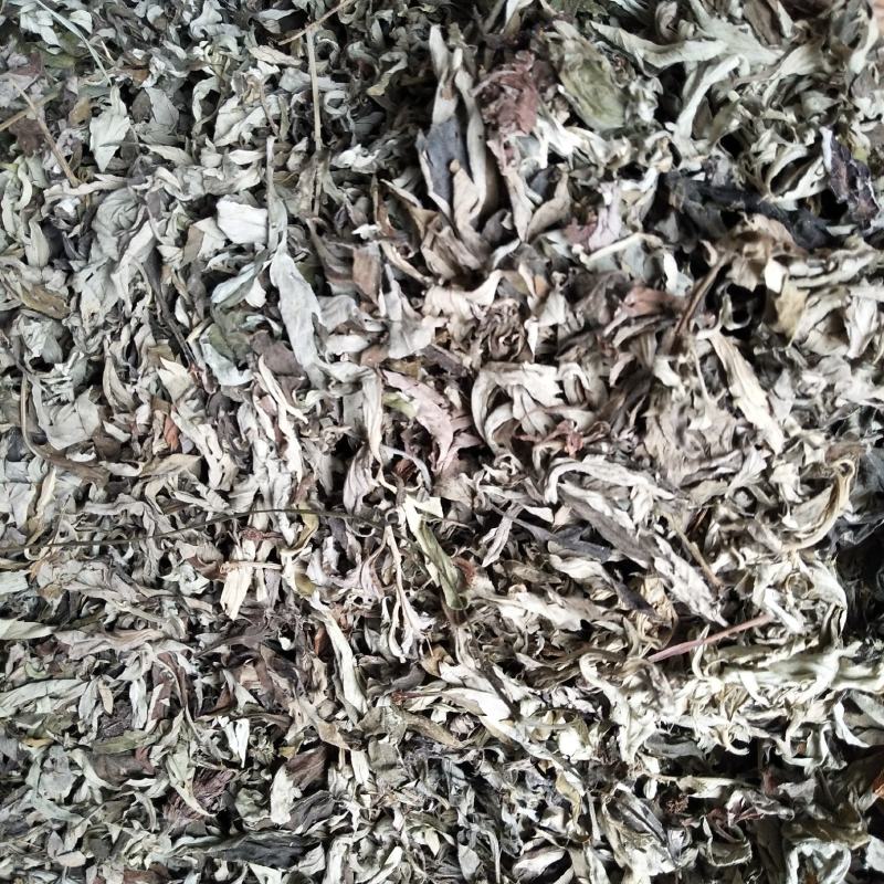 纯野生机压件白蒿，各种规格...........