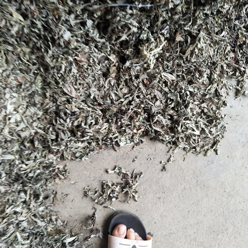 纯野生机压件白蒿，各种规格...........