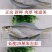 深海白鳞鱼！微咸鱼！肉质鲜美！7成干度！大量有货