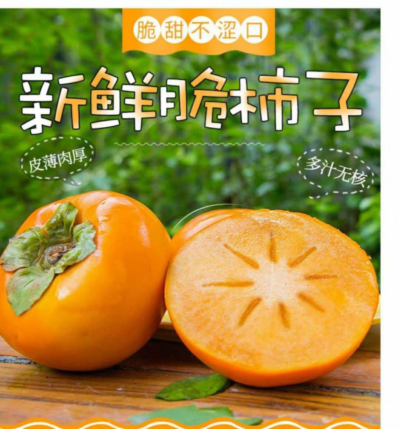 山西洋丰脆柿子70MM以上支持实地看货线上担保交易