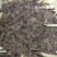 【新品】牛蒡子大量批发大力子简过风货人工筛选干净无杂